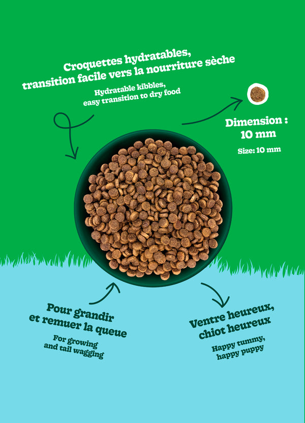 Nourriture pour chiot formule Original, toutes races - poulet avec avoine - Animatout