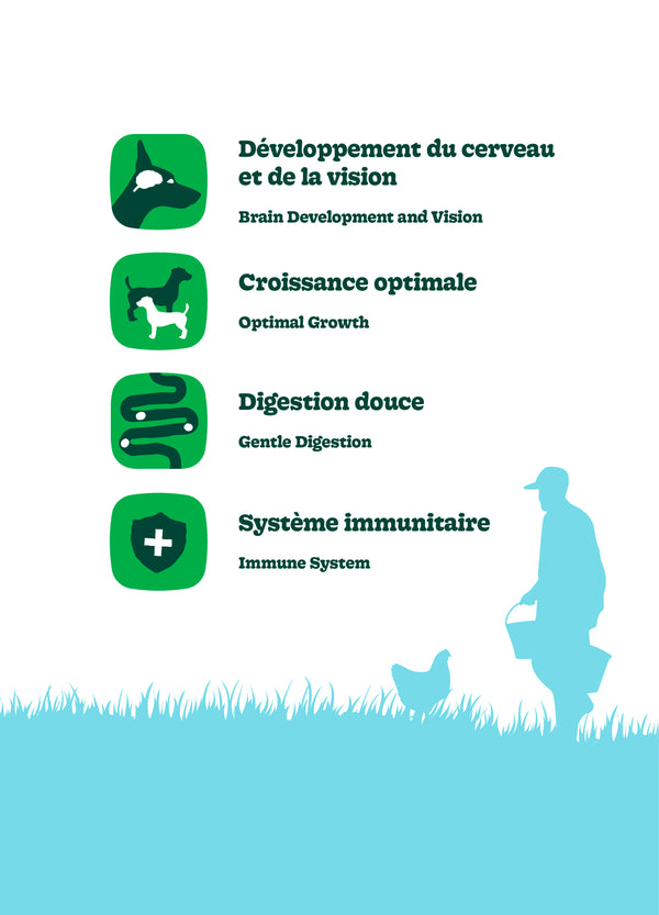 Nourriture pour chiot formule Original, toutes races - poulet avec avoine - Animatout