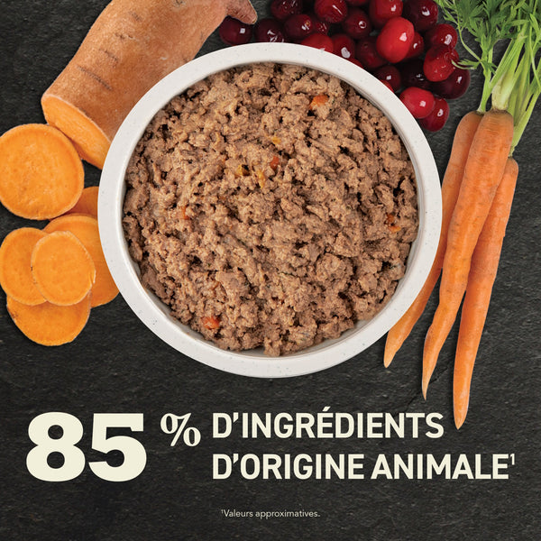 Nourriture pour chiot pâté avec bouillon d'os 363 g