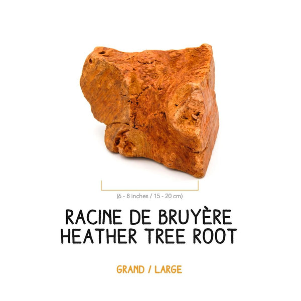 Racine de bruyère à gruger pour chien