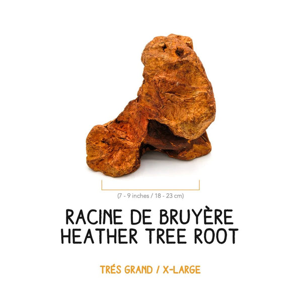 Racine de bruyère à gruger pour chien
