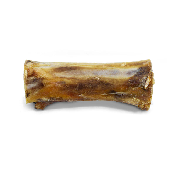 Fémur de boeuf avec moelle pour chien