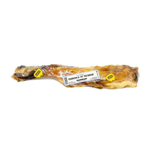Tendon de boeuf pour chien 8-12" - Animatout