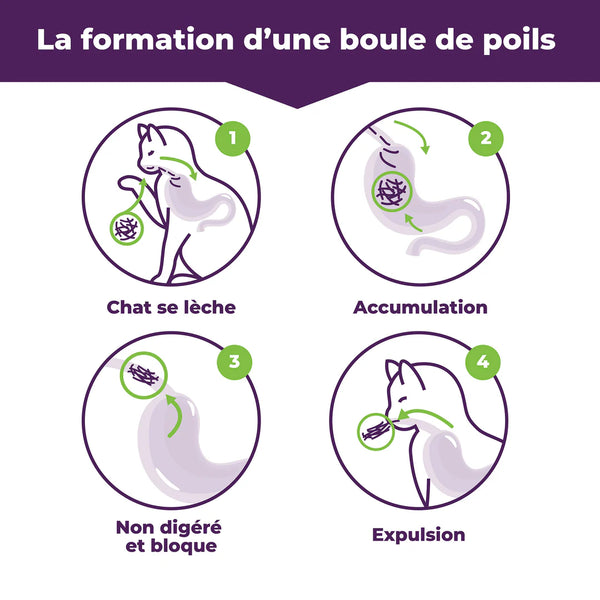 Traitement pour boules de poils chat original 85 g