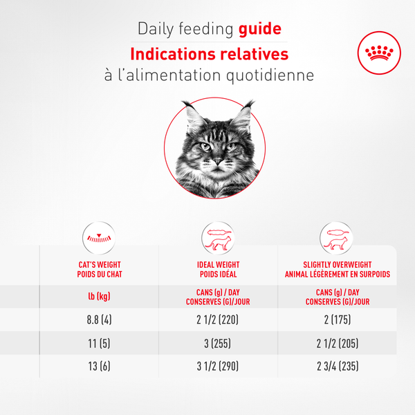 ÂGÉ 11+ FINES TRANCHES EN SAUCE – nourriture en conserve pour chats, 85 g, (3 oz)