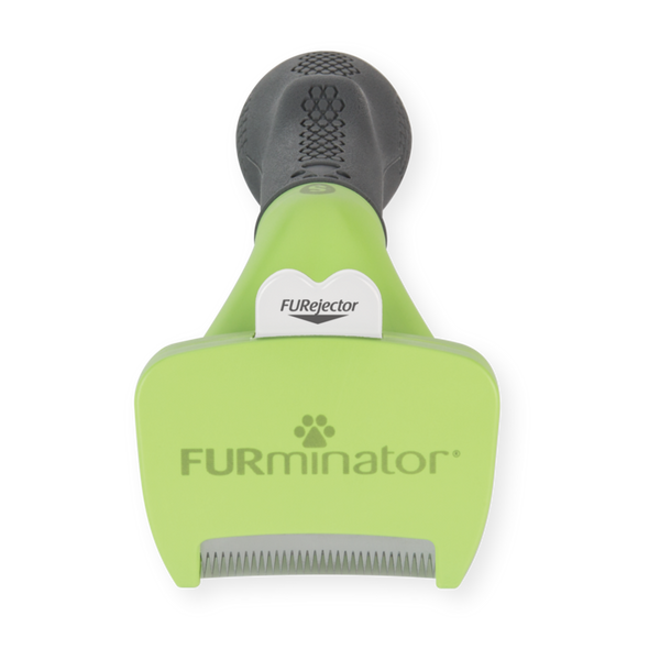 Outils d'élimination du sous-poils pour chiens à poils longs