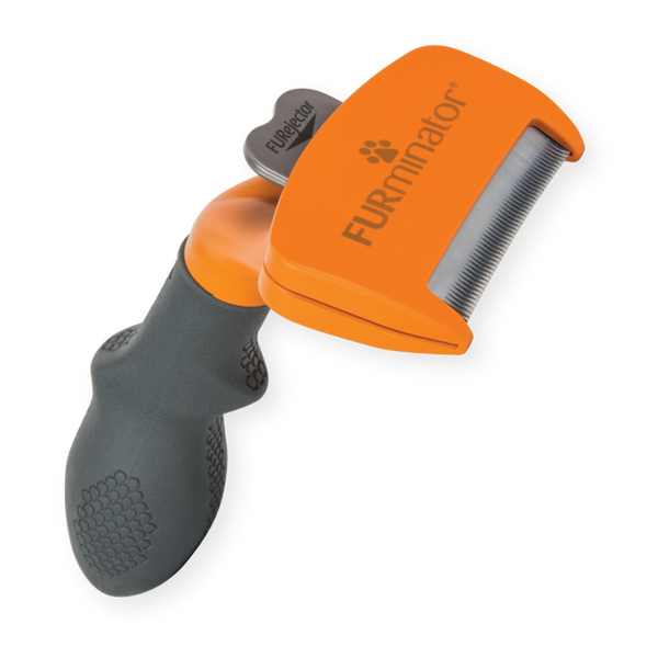 Outils d'élimination du sous-poils pour chiens à poils courts