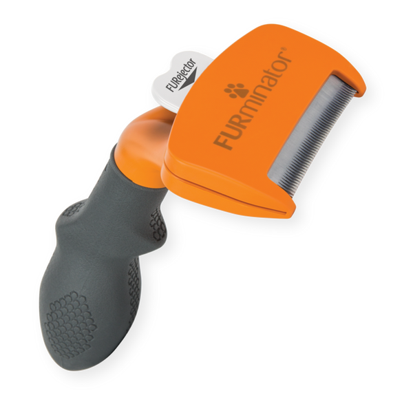 Outils d'élimination du sous-poils pour chiens à poils longs