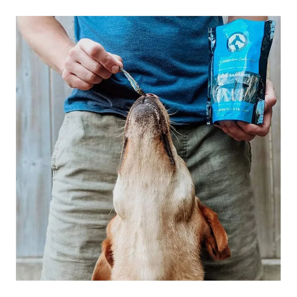 Gâteries pour chiens et chats sardines séchées
