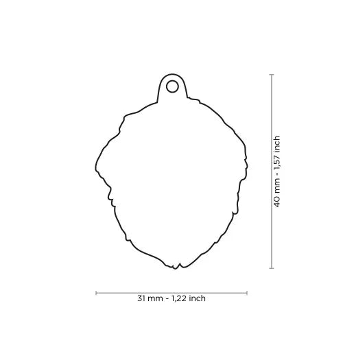 Médaille pour chien Friends Patou