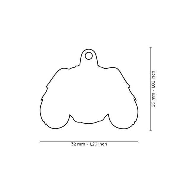 Médaille pour chien Friends Cavalier King Charles tricolore
