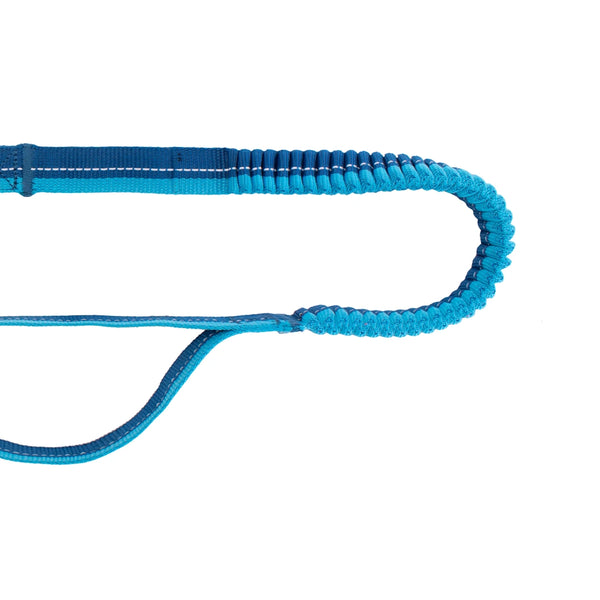 Laisse élastique Active Noir 6,5 pieds