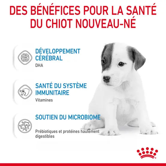LAIT POUR CHIOT - lactoremplaceur pour chiots, 400 g