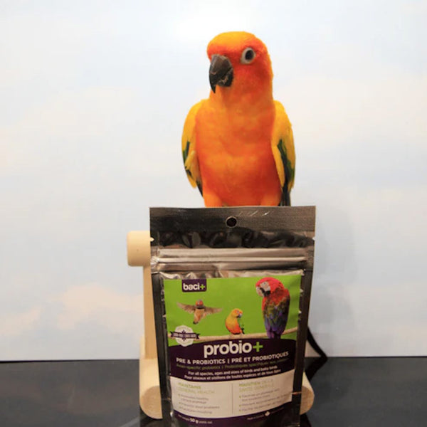 Probio+ pour oiseau 50 g