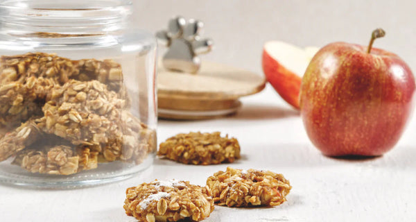 Recette gâteries pour chien aux pommes 🍎