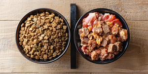 Comment bien conserver la nourriture de votre chien ou de votre chat