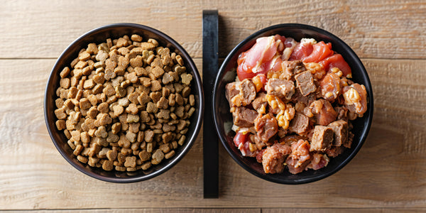 Comment bien conserver la nourriture de votre chien ou de votre chat