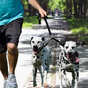 Coupleurs et extensions pour chiens