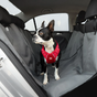 Accessoires pour l'auto pour chiens