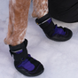 Bottes pour chiens