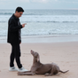 Comportement et entrainement pour chiens