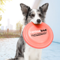 Frisbees et lance-balles pour chiens
