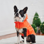 Manteaux pour chiens