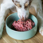 Nourritures crues pour chiens