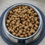 Nourritures sèches pour chiens