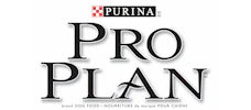 Pro Plan