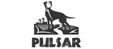 Pulsar