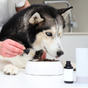 Soins et suppléments pour chiens
