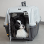 Transporteurs pour chiens