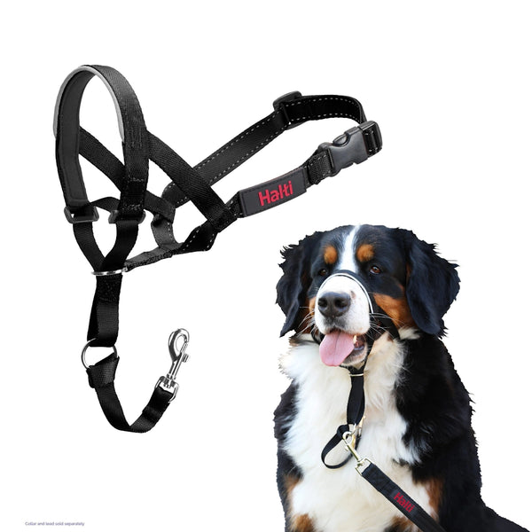 Licou Halti pour chien