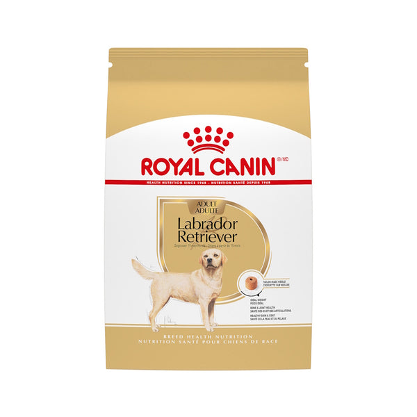 LABRADOR RETRIEVER ADULTE – nourriture sèche pour chiens