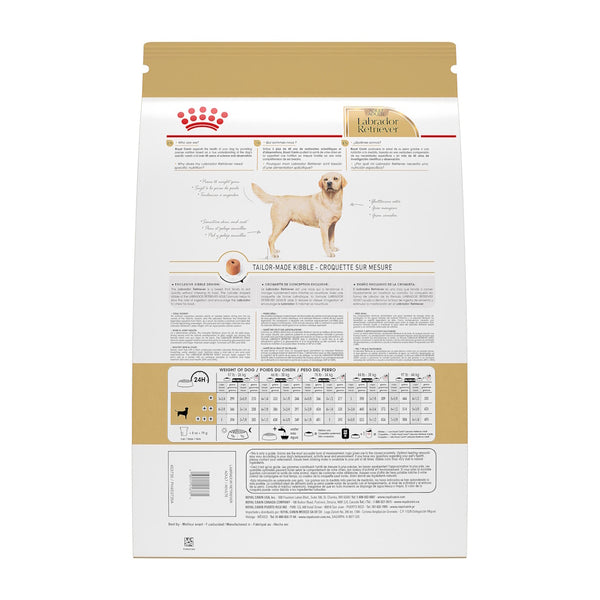 LABRADOR RETRIEVER ADULTE – nourriture sèche pour chiens