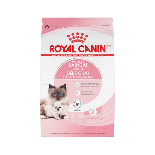 MÈRE ET BÉBÉ CHAT – nourriture sèche pour chatons