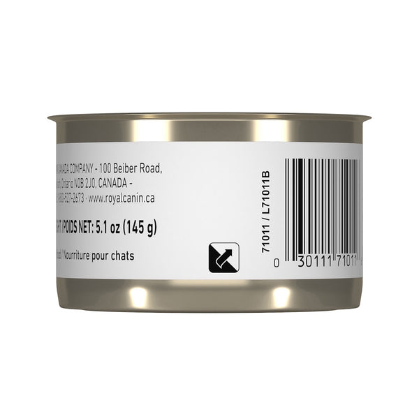 CHATON PÂTÉ EN SAUCE – nourriture en conserve pour chatons