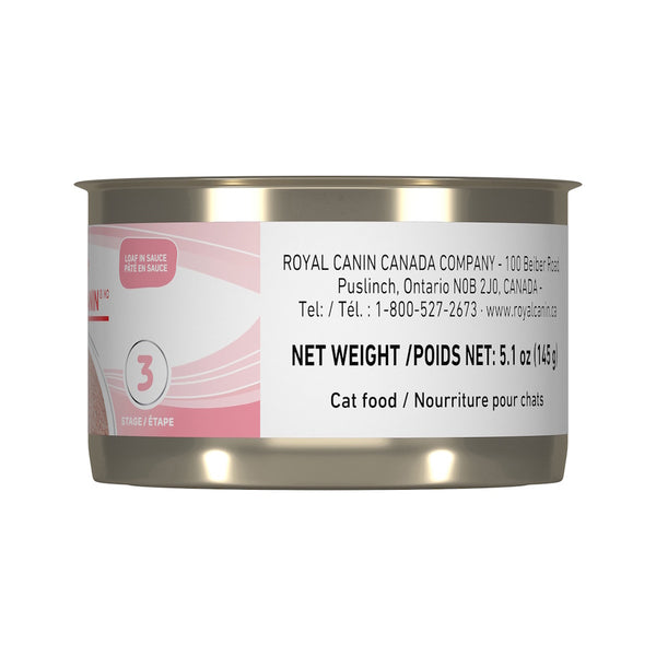 CHATON PÂTÉ EN SAUCE – nourriture en conserve pour chatons