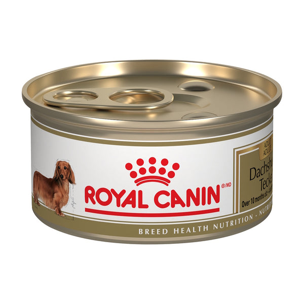 TECKEL ADULTE – nourriture en conserve pour chiens, 85 g, (3 oz)