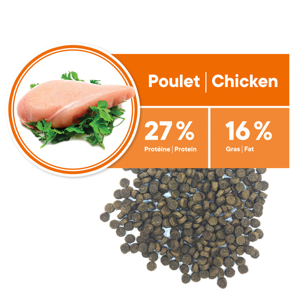 Nourriture pour chien, adulte, miniature et petite races - poulet