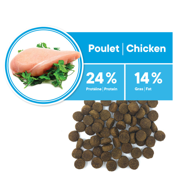 Nourriture pour chien, adulte, moyenne et grande races - poulet