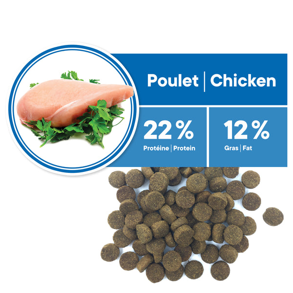 Nourriture pour chien, sénior, moyenne et grande races - poulet 12kg - Animatout