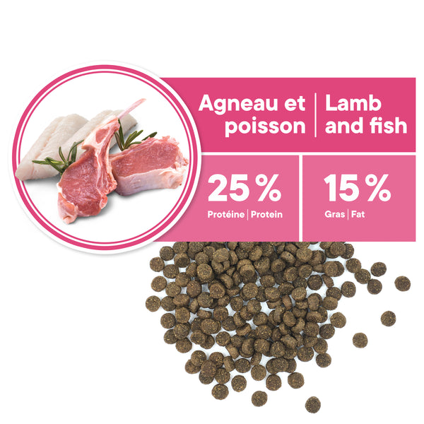 Nourriture pour chien, miniature et petite races, peau et pelage - agneau