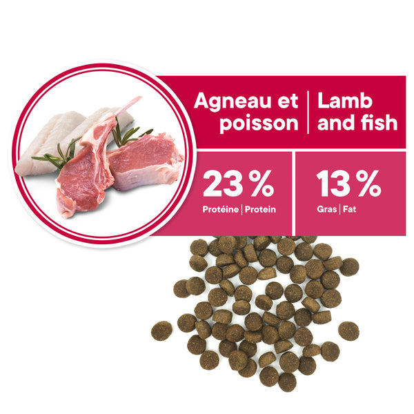 Nourriture pour chien adulte, moyenne et grande races, peau et pelage - agneau