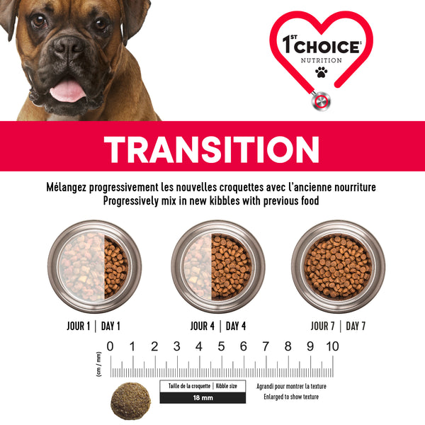 Nourriture pour chien adulte, moyenne et grande races, peau et pelage - agneau
