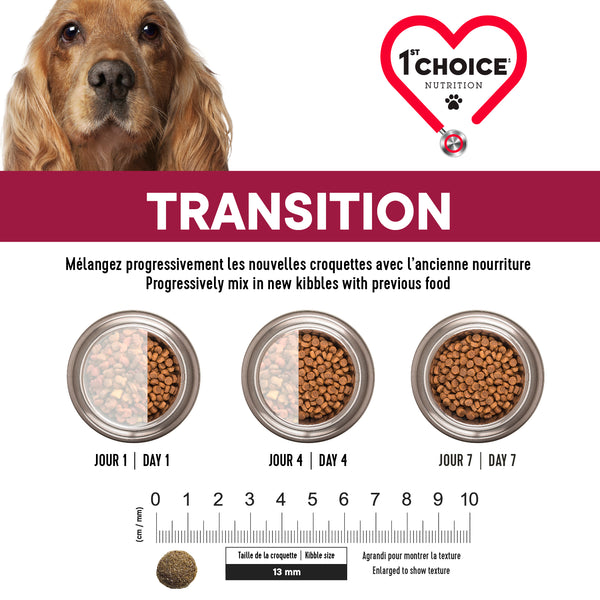 Nourriture pour chien, sénior, toutes races, peau et pelage - agneau