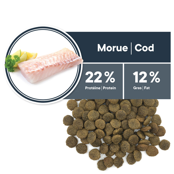 NOURRITURE POUR CHIEN ADULTE, TOUTES RACES, HYPOALLERGÈNE - MORUE SANS GRAINS - Animatout
