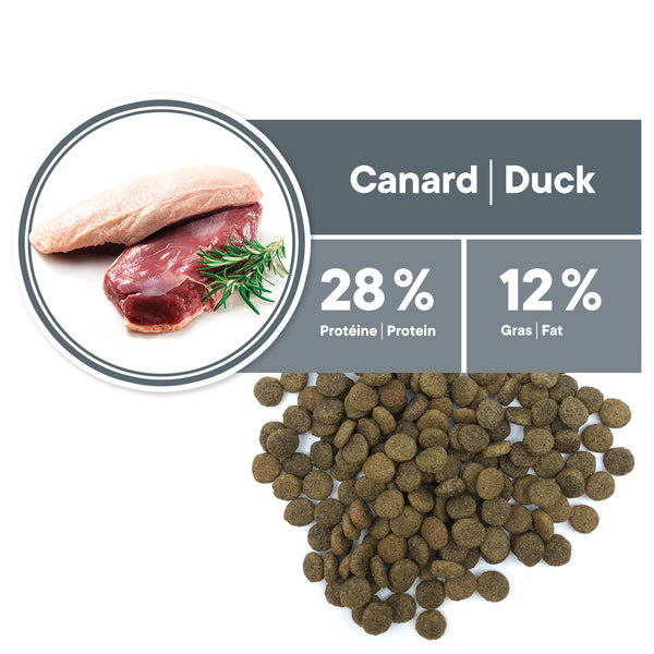 Nourriture pour chat adulte, hypoallergène - canard sans grains