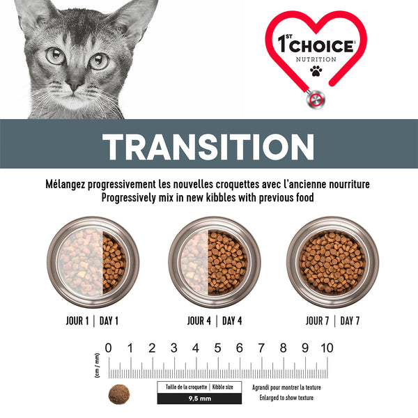 Nourriture pour chat adulte, hypoallergène - canard sans grains